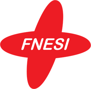 FNESI